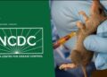 NCDC verifies the occurrence of a Lassa Fever outbreak at the Army referral hospital