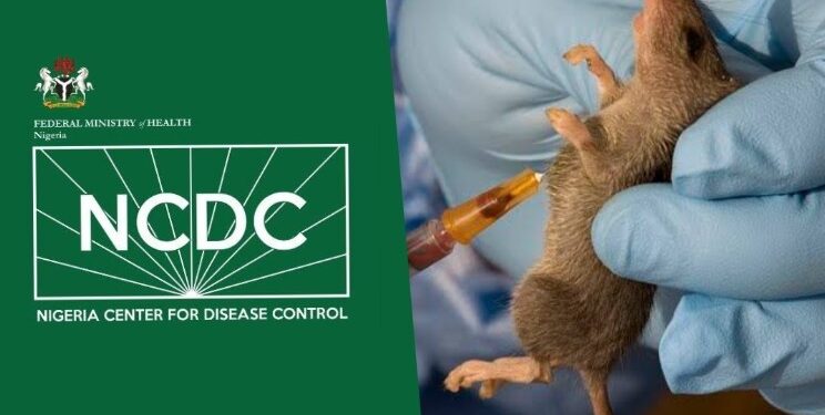 NCDC verifies the occurrence of a Lassa Fever outbreak at the Army referral hospital