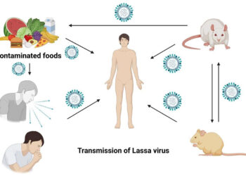 Lassa Fever Outbreak: NCDC Reports 411 Confirmed Cases and 72 Deaths