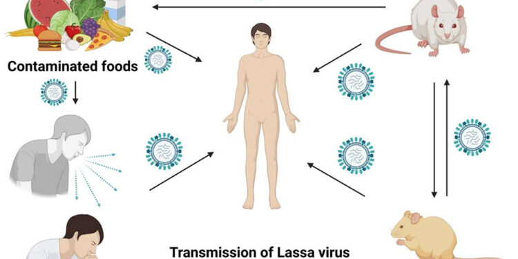 Lassa Fever Outbreak: NCDC Reports 411 Confirmed Cases and 72 Deaths