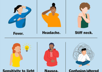 Gombe Meningitis: A call for collaborative Action