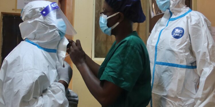 The deadly virus Nigerians fear more than COVID-19: Lassa fever