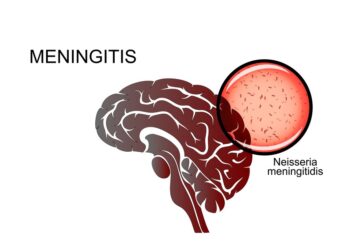 Confirmed Cases of Cerebrospinal Meningitis Spark Urgent Response in Gombe State: Commissioner of Health Takes Swift Action
