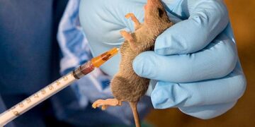 Curbing rising spread of Lassa fever in Nigeria via personal, environmental hygiene