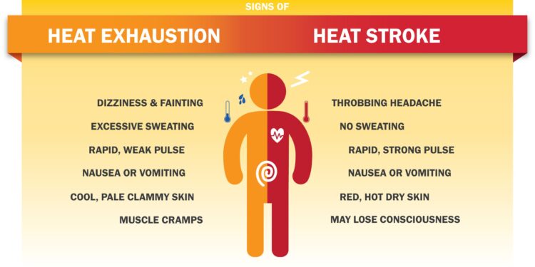 Have you heard of heat stress?