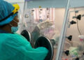 NCDC Launches Investigation into Mysterious Disease Gripping Sokoto