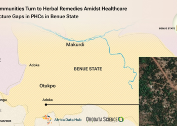Local Communities Turn to Herbal Remedies Amidst Healthcare Infrastructure Gaps in PHCs in Benue State
