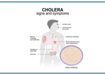 Cholera Alert: Rising Cases Across Nigeria Amid Intensifying Rains