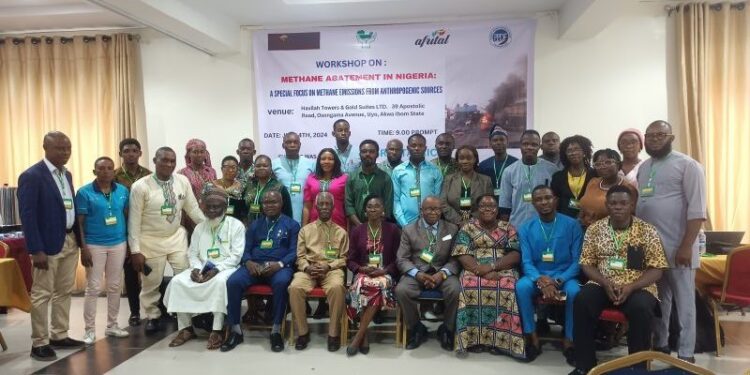 Prioritize Methane Abatement Now! Nigeria’s Path to a Greener Future