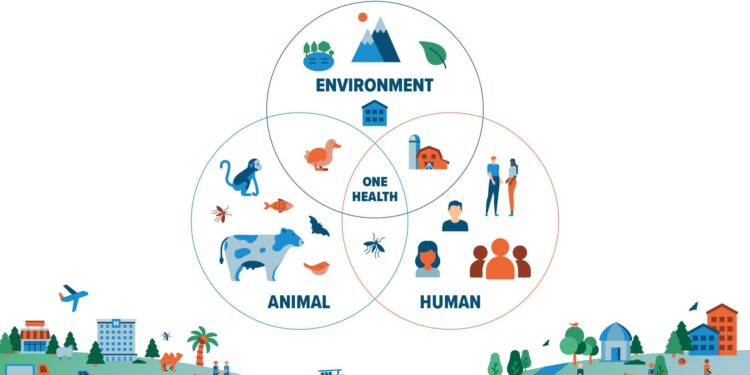 One Health: A Unified Approach to Global Health Challenges