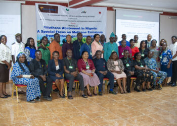 Tackling Nigeria’s Methane Challenge: A Path Forward from Port Harcourt’s Groundbreaking Workshop