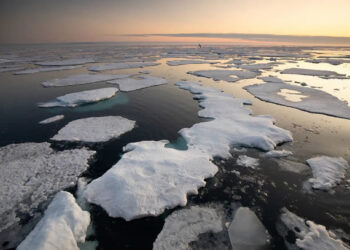 Arctic Carbon Emissions: What It Means for Nigeria