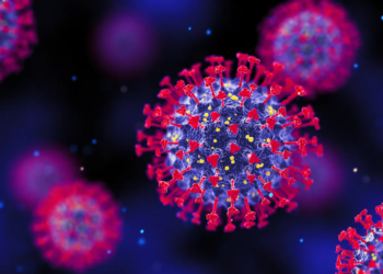 “NCDC Calms Fears Over New COVID-19 Variant XEC in Nigeria”