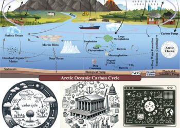 The Arctic’s Carbon Shift: A New Era of Atmospheric Change