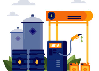 Nigeria Energy Transition: The Role of Natural Gas in Achieving a Low-Carbon Economy